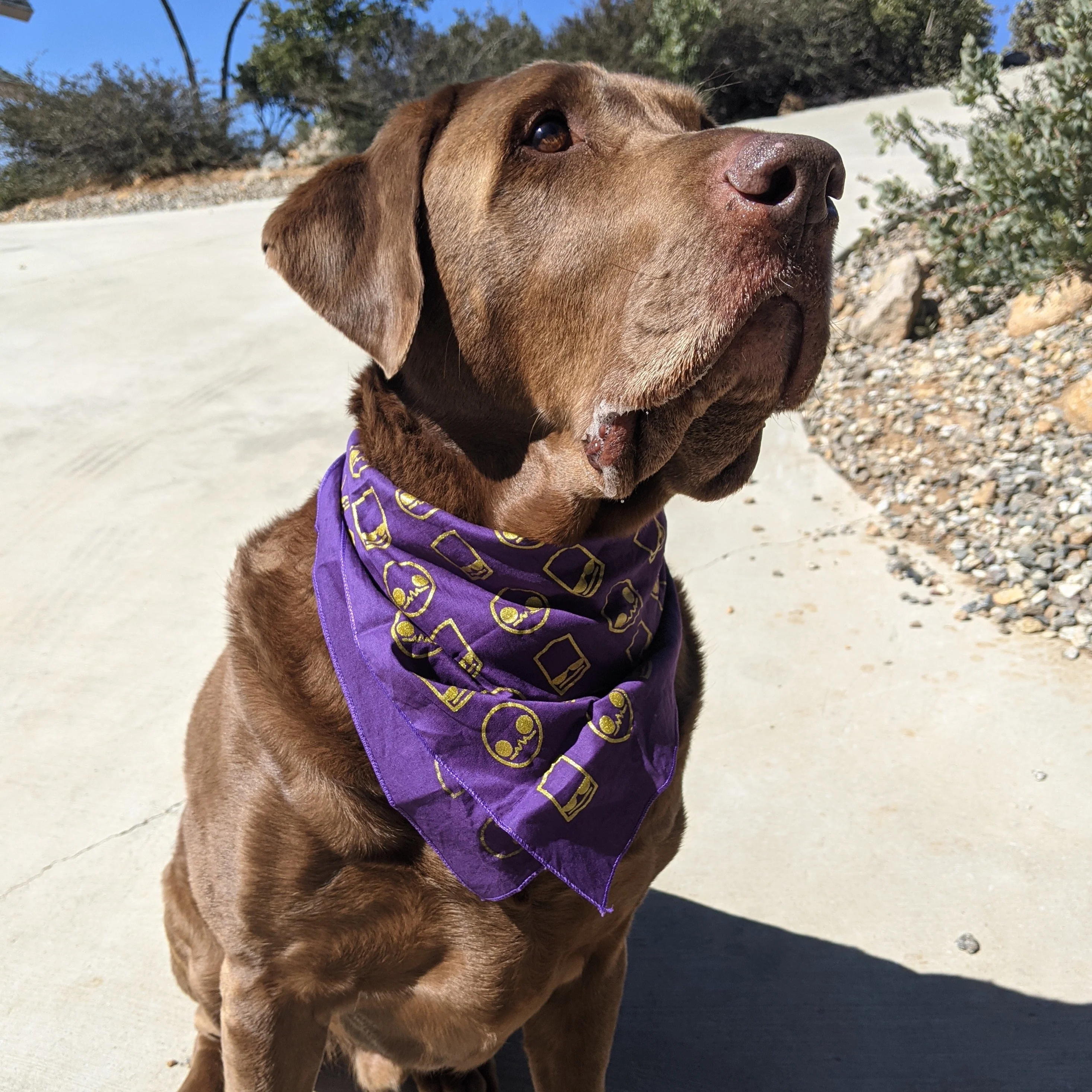 Alien Hominid Invasion Bandana ALIEN HOMINID (R) INVASION - Image 5