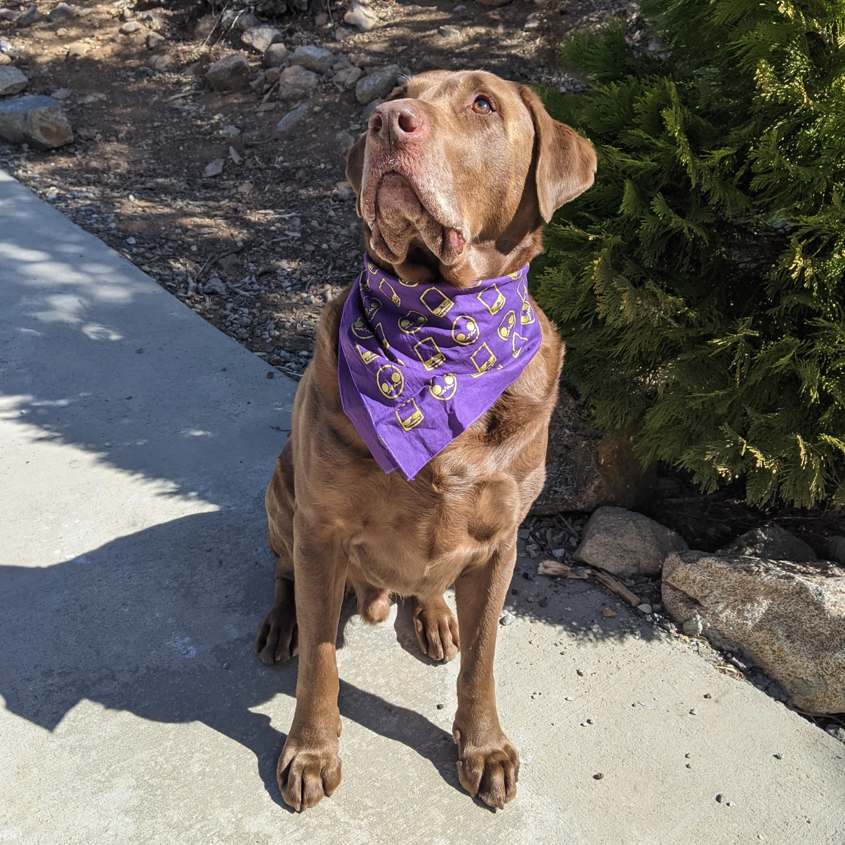 Alien Hominid Invasion Bandana ALIEN HOMINID (R) INVASION - Image 7