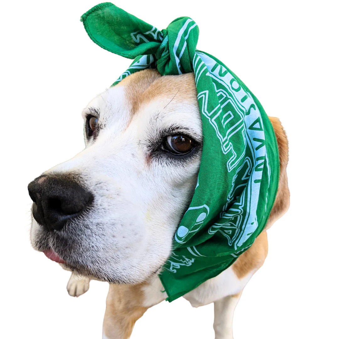 Alien Hominid Invasion Western Bandana ALIEN HOMINID (R) INVASION - Image 7