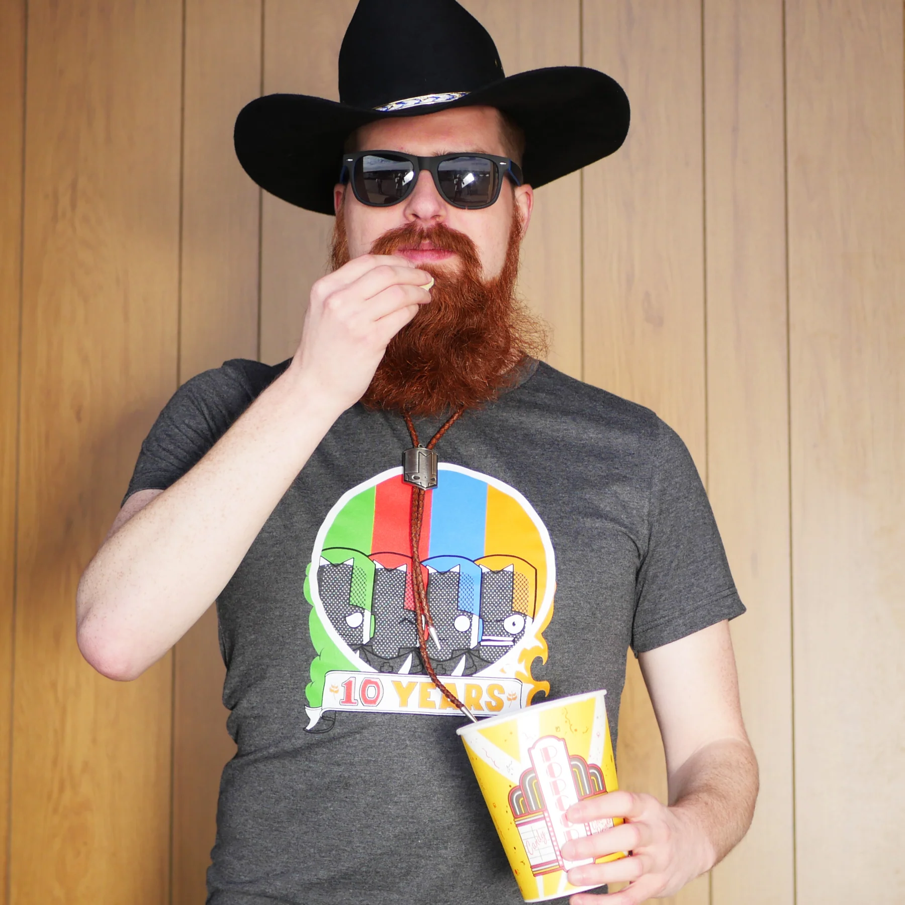 Castle Crashers 10 Year Anniversary T-shirt - Image 3