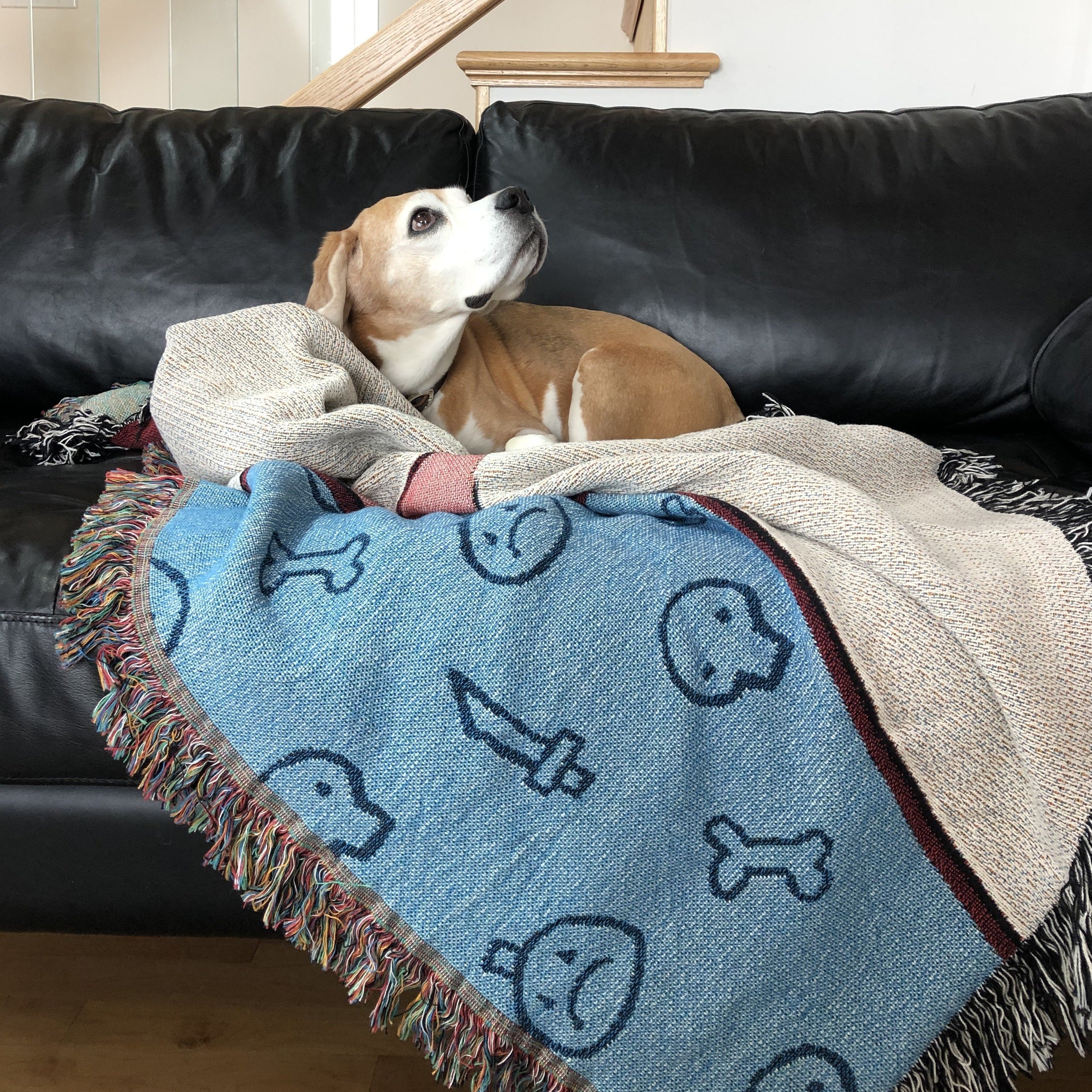 Painbow Horse Woven Throw Blanket PIT PEOPLE ® - Image 3